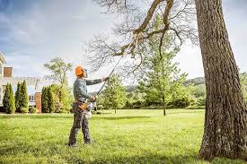 Best Lawn Mowing  in Colton, CA