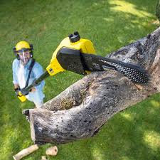 Best Mulching Services  in Colton, CA
